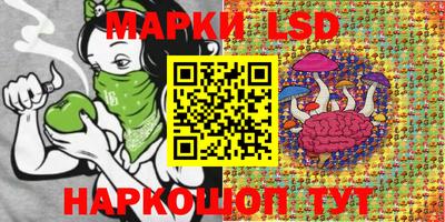 шишки Балахна