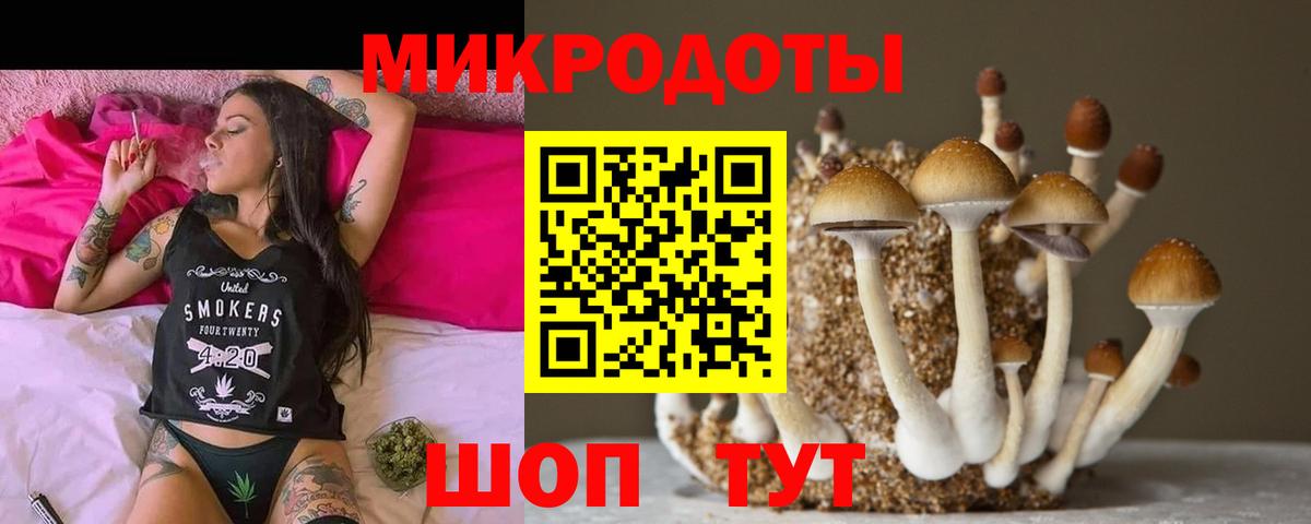 Псилоцибиновые грибы прущие грибы  Галлюциногенные грибы Magic Shrooms  Долгопрудный  Вход с VPN 